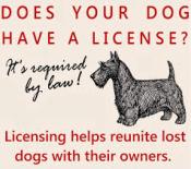 License Your Dog